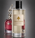 Jean Paul Gaultier Scandal