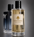 Yves Saint Laurent Y